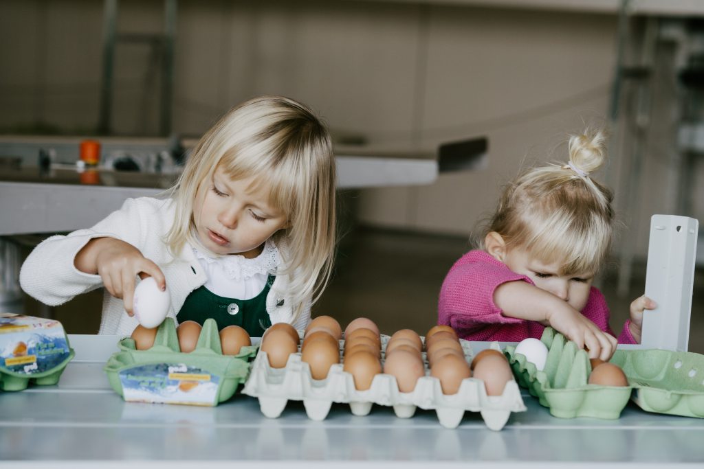 SalzburgerLand-Ei Familie Mösl Seekirchen