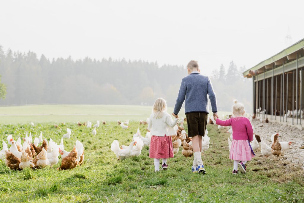 SalzburgerLand-Ei Familie Mösl Seekirchen