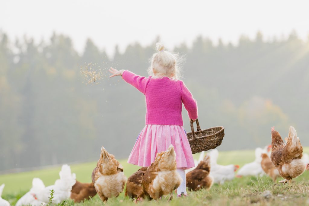 SalzburgerLand-Ei Familie Mösl Seekirchen