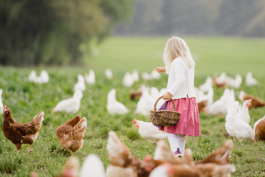 SalzburgerLand-Ei Familie Mösl Seekirchen