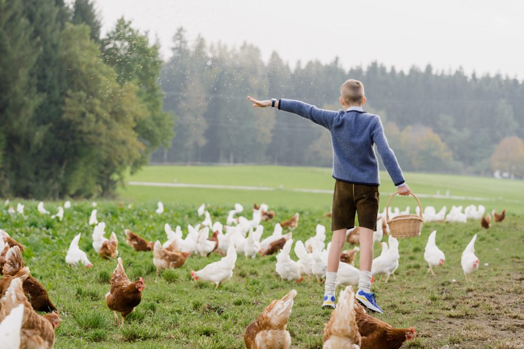 SalzburgerLand-Ei Familie Mösl Seekirchen
